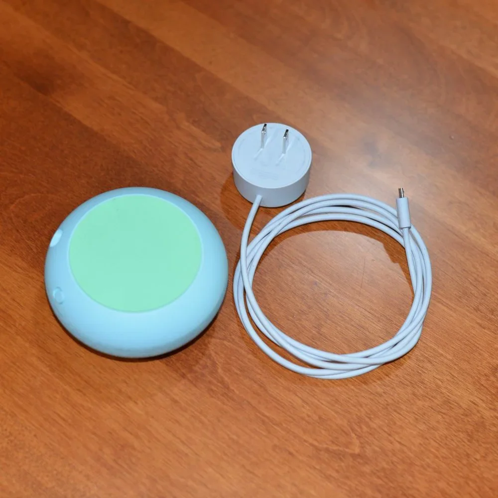 Google Nest Speaker